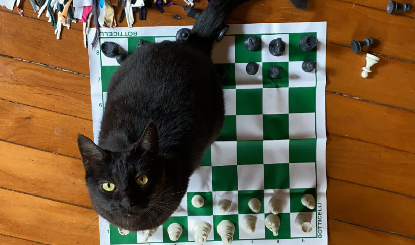 Chess pieces on a board illustrating Lichess player rating transitions
